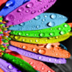 Meet your Posher, Vickie